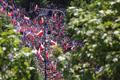 Polsko Varšava protest demokracie Občanská platforma 4. června 2023