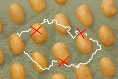 Konec brambor v Čechách