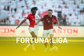 Fortuna liga 2023/2024 - Ikona, poutak