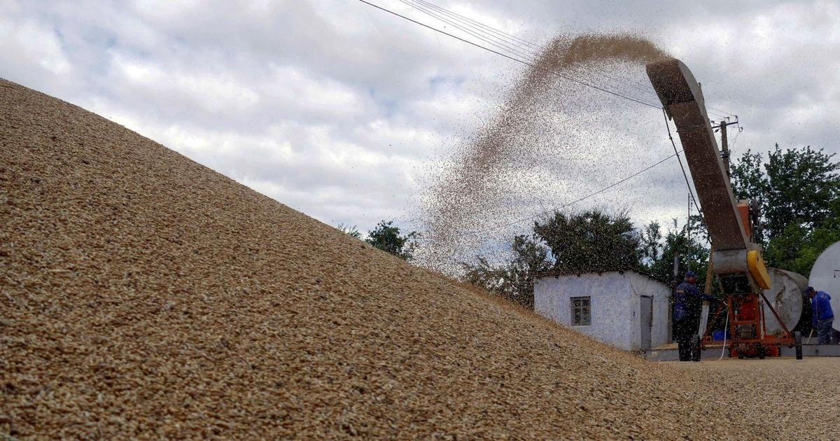 Ukrajina protestuje proti ruským lodím s ukradeným obilím v Izraeli