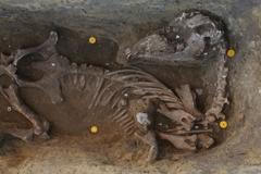 Odhalení langobardských hrobů v Mušově