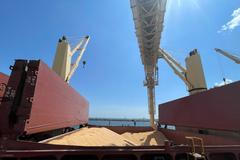 Přístav, Rumunsko, pšenice