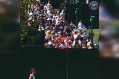 Drsný Wimbledon. Běloruska trefila fanouška do hlavy, další schytal míček do piva