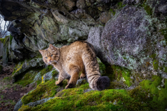 Ústav biologie obratlovců výstava Akademie věd