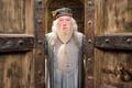 Michael Gambon