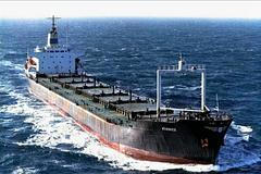 Československá námořní plavba, Domácí