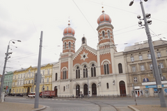 TV Architect Velká synagoga v Plzni