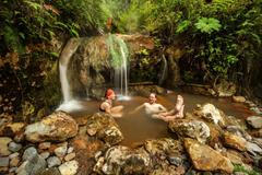 Vánoce Pavla Svobody