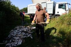 řeka Bečva, ekologická katastrofa, ryba, otrava, znečištění, kyanid