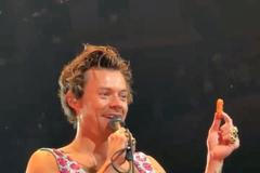 Harry Styles, kuřecí nugety