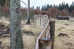 Lánská Obora, Lány