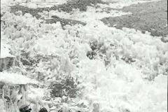 Janet Johnson aconcagua hora argentina john Cooper