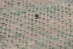 španělsko sucho vedro