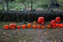 dýně kurdějov farář