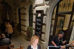 Vaňková, volby 2022, Brno