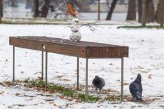 Ilustrační foto - zima, sníh, počasí, podzim