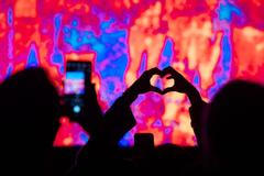 Signal Festival 2023