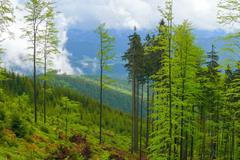 Beskydy, CHKO Beskydy, hory, krajina, Moravskoslezský kraj, Domácí