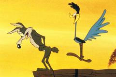 Coyote vs. Acme