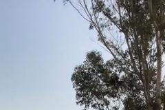 Záběry útoku Hamásu na účastníky izraelského hudebního festivalu nedaleko Pásma Gazy