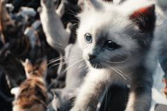 Trailer z filmu Marvels