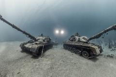 Vítězové soutěže Underwater Photographer of the Year 2024