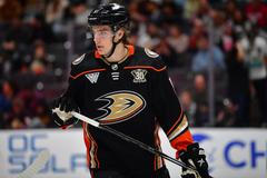 Leo Carlsson NHL hokej