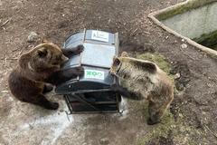 zoo bojnice slovensko medvědi koše