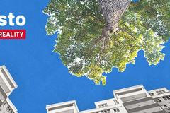 pruh - Vize město - reality