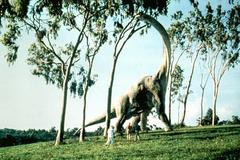 Dinosaurus, Paleontologie, historie, Magazín