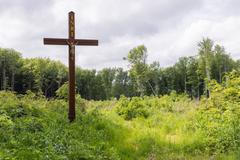 ždánický les chřiby těžba lesy čr greenpeace