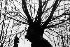 Výstava: Vilém Reichmann. Každá věc je počátkem básně, Vilém Reichmann, fotograf, výstava, Brno, Foto, Magazín