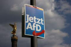 AfD, eurovolby