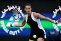 WTA 1000 - Dubai Tennis Championships