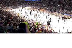 Podívejte se, jak při utkání AHL letěly na led tisíce plyšáků