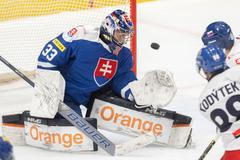 Česko - Slovensko, příprava na MS v hokeji