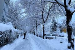 počasí zima sníh mráz závěje kalamita