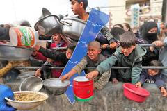 pro grafiku - IPC report