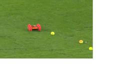 Autíčka přerušila bundesligový zápas