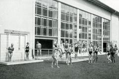 Podivné zločiny - Mozkožrout (teaser)