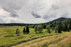 Šumava, Hamerský potok, Vydra