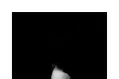 Antonín Kratochvíl: David Bowie