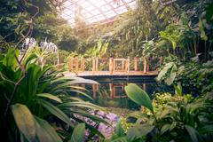 Botanická zahrada, fata morgana