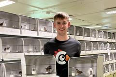 Tomáš Strachota, ptáci, ptactvo, papoušek, papoušci, chovatel, pták