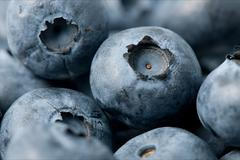 kvíz odkrývací - borůvky