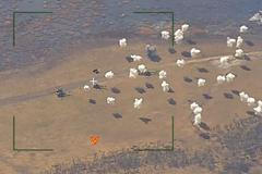 "Zničili jsme dva ukrajinské vrtulníky kazetovou municí," tvrdí Rusové