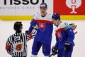 IIHF World Championships - Group B - Slovakia v Germany