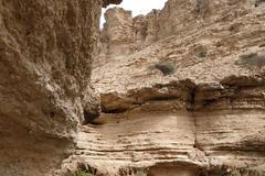 Dubovec a Dubovcová