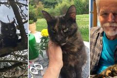 Kočka Micka a pes Bob