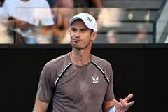 Andy Murray, Australian Open 2024